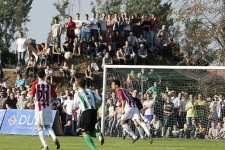 piast2
